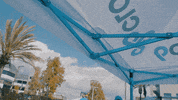 Cloud9gg  GIF