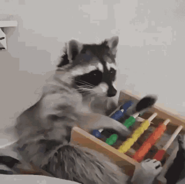Dimaproper228 giphyupload GIF