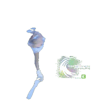Spin Sticker by Icechallenge