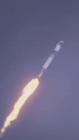 cgoya giphyupload spacex GIF