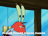season 5 episode 20 GIF by SpongeBob SquarePants