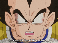 GIF by Giffffr