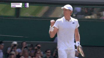 kevin anderson tennis GIF by Wimbledon