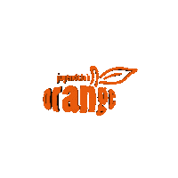Orange Erlangen Sticker by vimo.studio