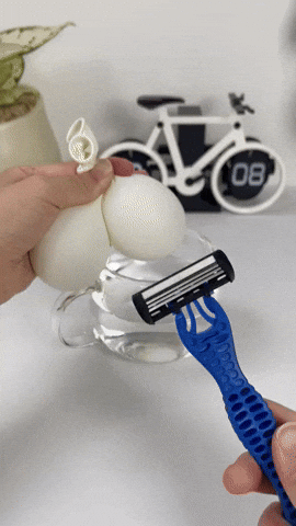 crshdprod giphyupload GIF