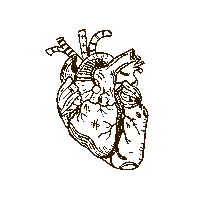 Seco Sticker by Ricardo Arjona Oficial