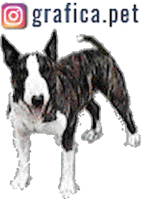 graficapet giphyupload Sticker