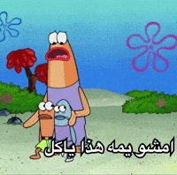 Iraq GIF by Bashar