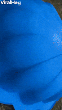 Sneaky Baby has the Perfect Disguise