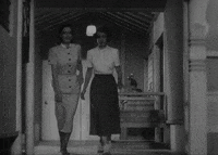 sneaking criterion collection GIF by Fandor