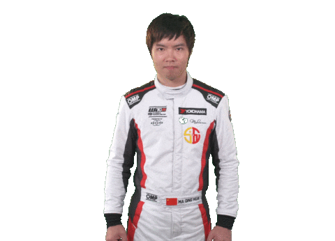 happy touring car Sticker by FIA WTCR