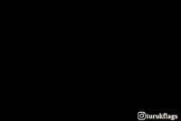 Shah Ismail Azerbaijan GIF