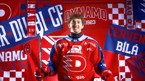 Hockeytown GIF by HC Dynamo Pardubice