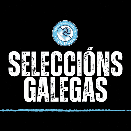 Volei Galego GIF by Federación Galega de Voleibol