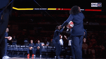 High Five Get Up GIF by Indiana Fever