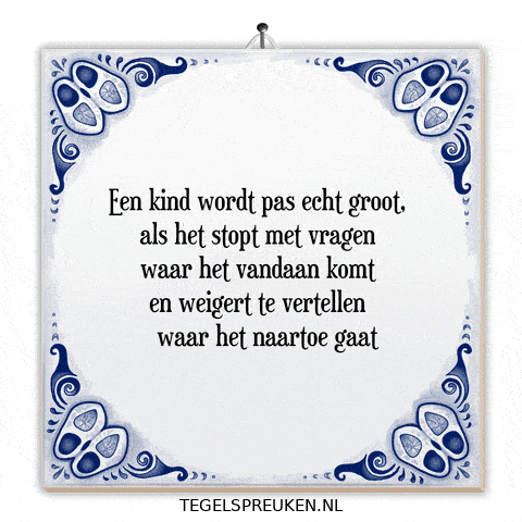 Reflectie Verandering GIF by Tegelspreuken.nl