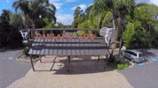 California Drone GIF by Oakland Zoo