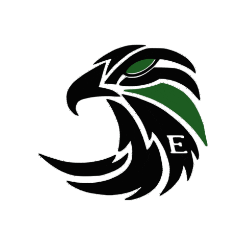 ExeterFalcons giphygifmaker falcons exeter flagfootball Sticker