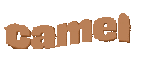 Camel Crayon Sticker by Sunnies Studios