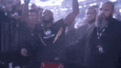 Mixed Martial Arts Sport GIF by UFC