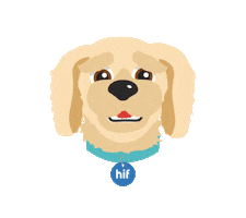 Animated Sticker
