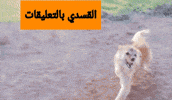 سوريا GIF