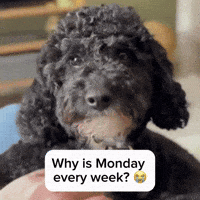 Tired Coffee First GIF