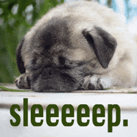 Tired Good Morning GIF by Sealed With A GIF