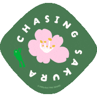 Chasing Cherry Blossoms Sticker by Follow The Frogs