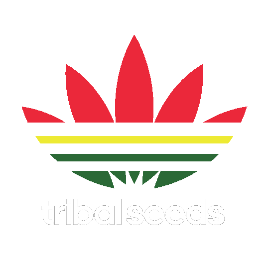 Stick Figure Reggae Sticker by Tribal Seeds