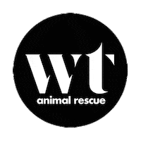 wolftrapanimalrescue instagram cats dogs pets Sticker