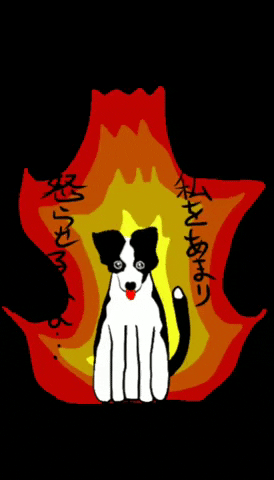 sokku  GIF