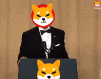 Shiba GIF by SHIB MEMES
