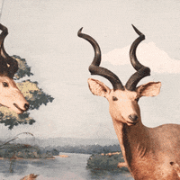 frieze art fair kiluanji kia henda GIF by Frieze