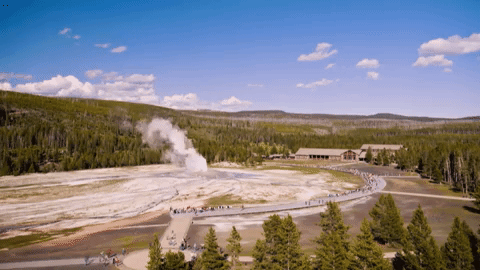 yellowstone GIF by National Geographic Channel