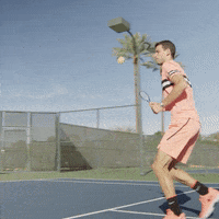 grigor dimitrov tenis GIF by Wilson Tennis