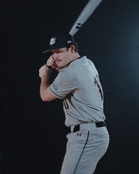 Baseball Swing GIF by Purdue Fort Wayne Athletics