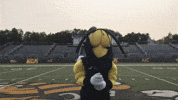 AICYellowJackets sports mascot athletics college sports GIF