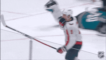 Happy Washington Capitals GIF by NHL