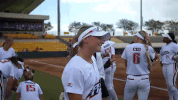 usssapride softball fastpitch usssa npf GIF