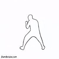 Shadow Box Fighting GIF