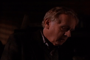 season 2 GIF by Twin Peaks on Showtime