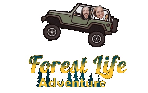 ForestLife giphyupload forestlife forestlifeadventure Sticker
