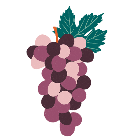 flobeaut giphyupload wine fruit fruits Sticker