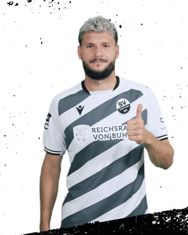 3Liga GIF by SV Sandhausen