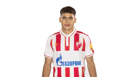 Red Star Football Sticker by FK Crvena zvezda