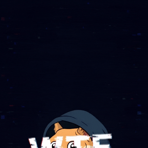 Shiba Inu Wtf GIF by Doge Pound