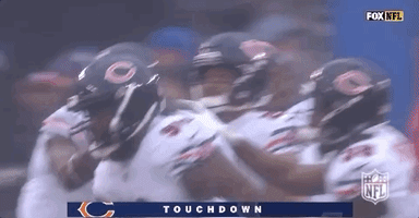 2018 Nfl Football GIF by NFL
