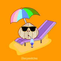 Beach Life Yolo GIF