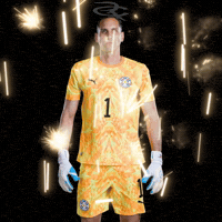 Fifa World Cup Paraguay GIF by Respective